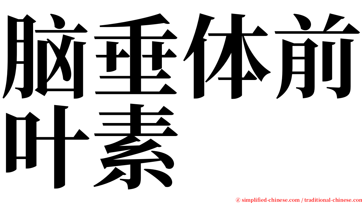 脑垂体前叶素 serif font