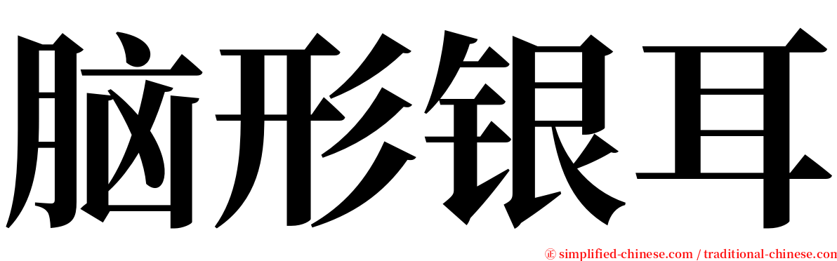 脑形银耳 serif font