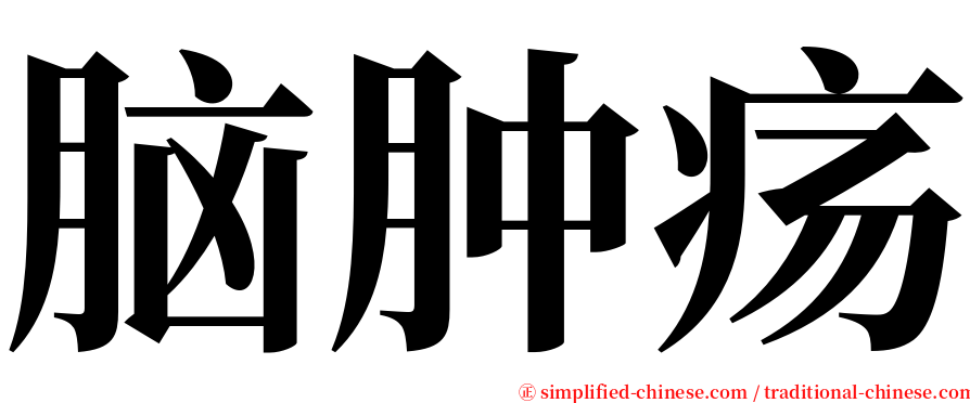 脑肿疡 serif font