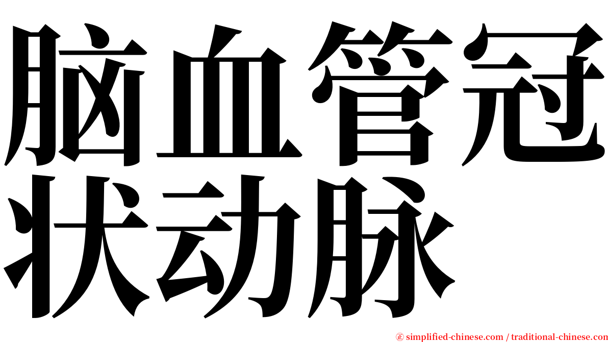脑血管冠状动脉 serif font