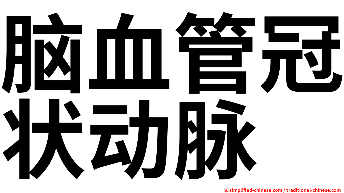 脑血管冠状动脉