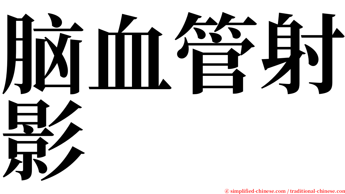 脑血管射影 serif font