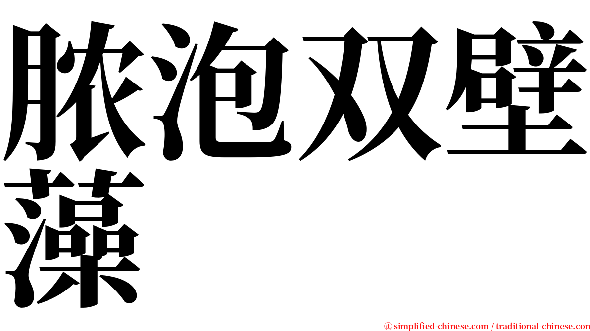 脓泡双壁藻 serif font
