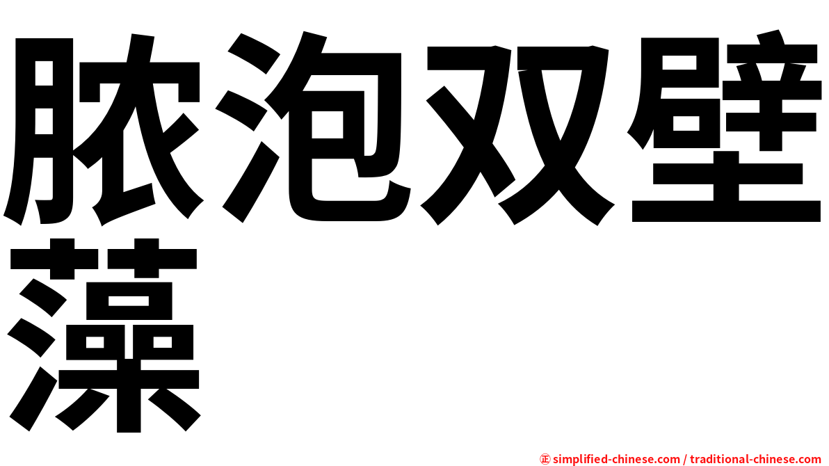 脓泡双壁藻