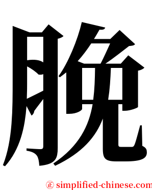 脕 serif font
