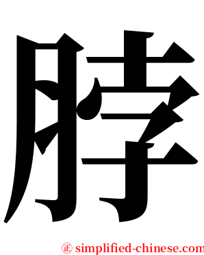 脖 serif font