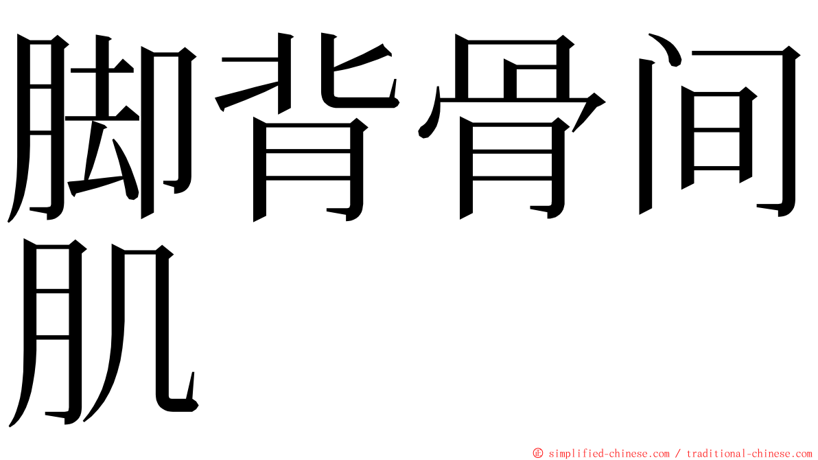 脚背骨间肌 ming font