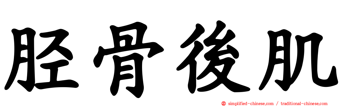 胫骨后肌