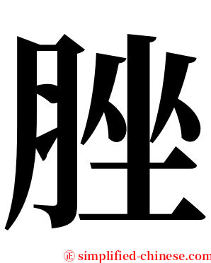 脞 serif font