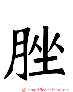 脞