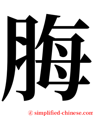 脢 serif font