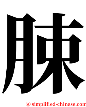 脨 serif font