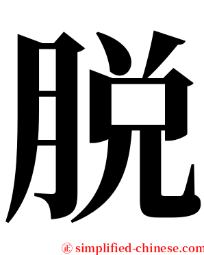 脱 serif font