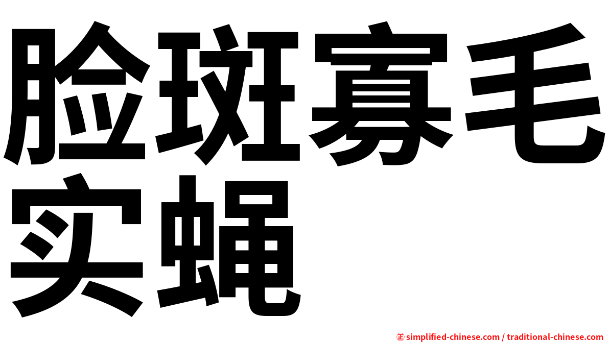 脸斑寡毛实蝇