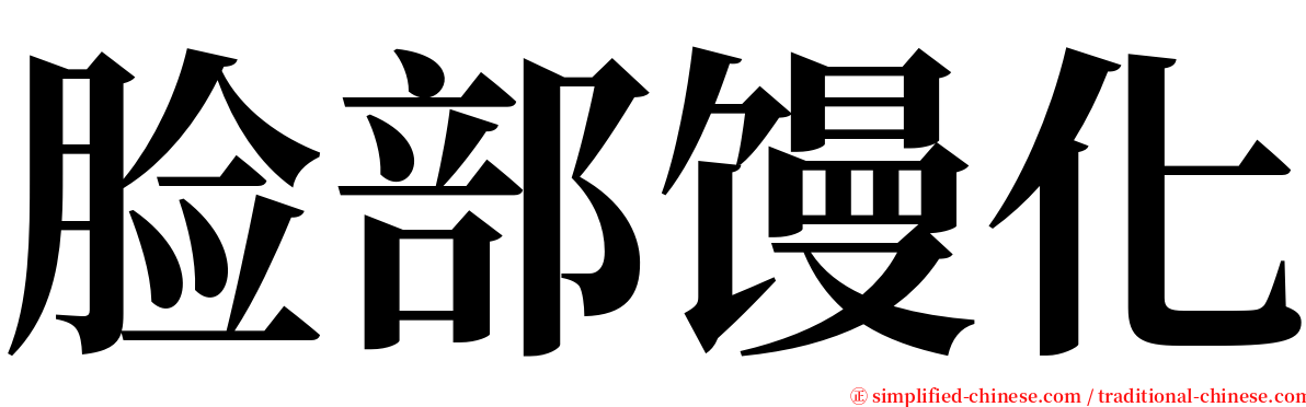 脸部馒化 serif font