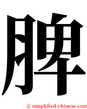 脾 serif font