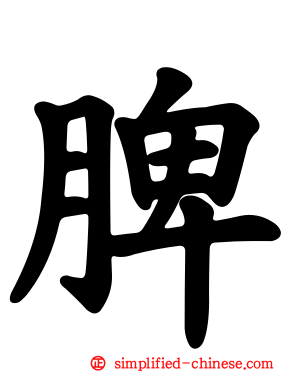 脾