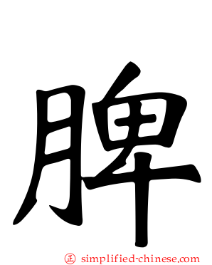 脾