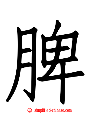 脾