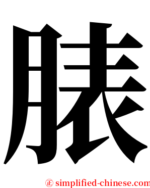 脿 serif font