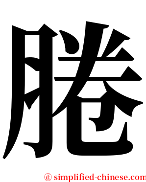 腃 serif font