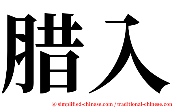 腊入 serif font