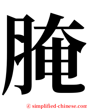 腌 serif font