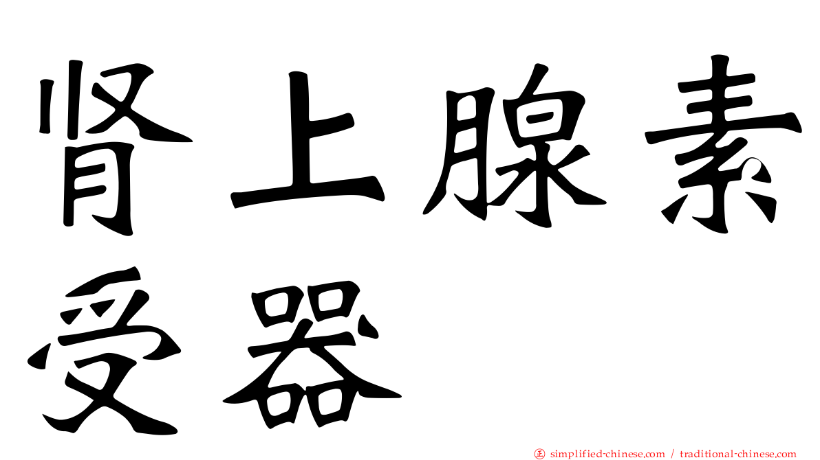 肾上腺素受器