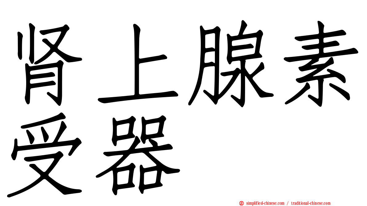 肾上腺素受器