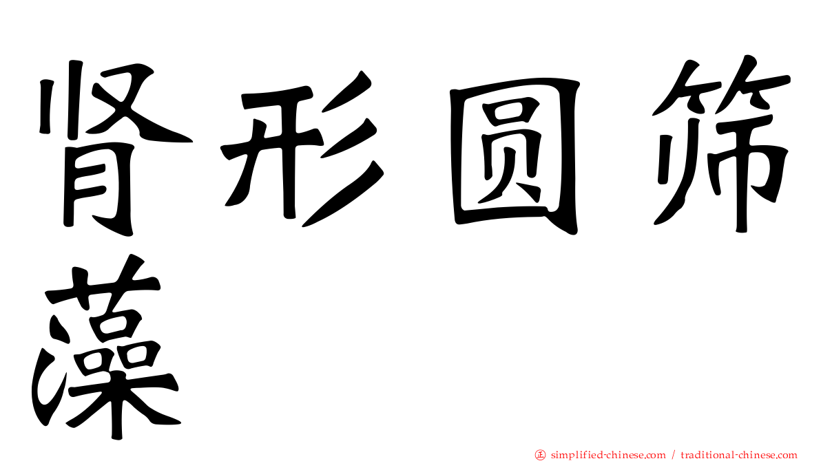 肾形圆筛藻