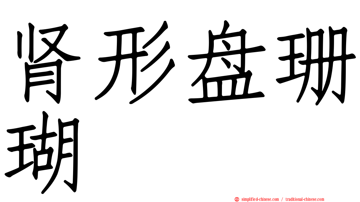 肾形盘珊瑚