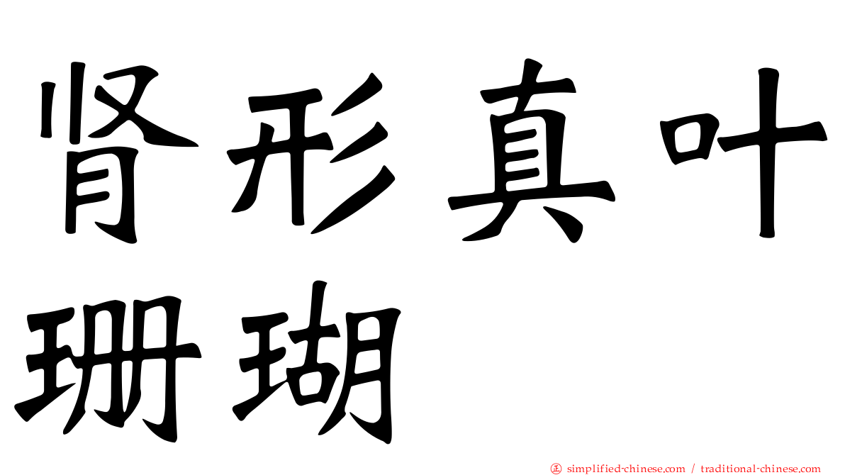 肾形真叶珊瑚