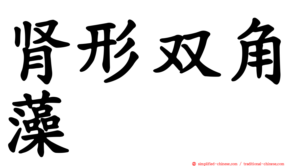 肾形双角藻