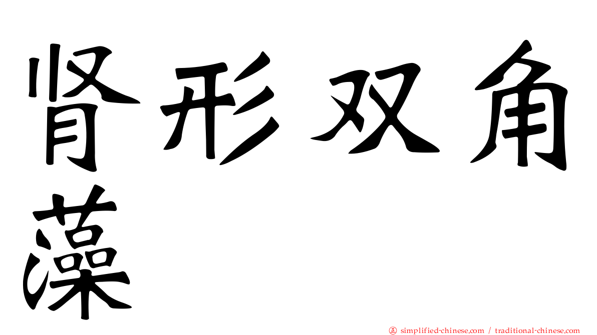 肾形双角藻
