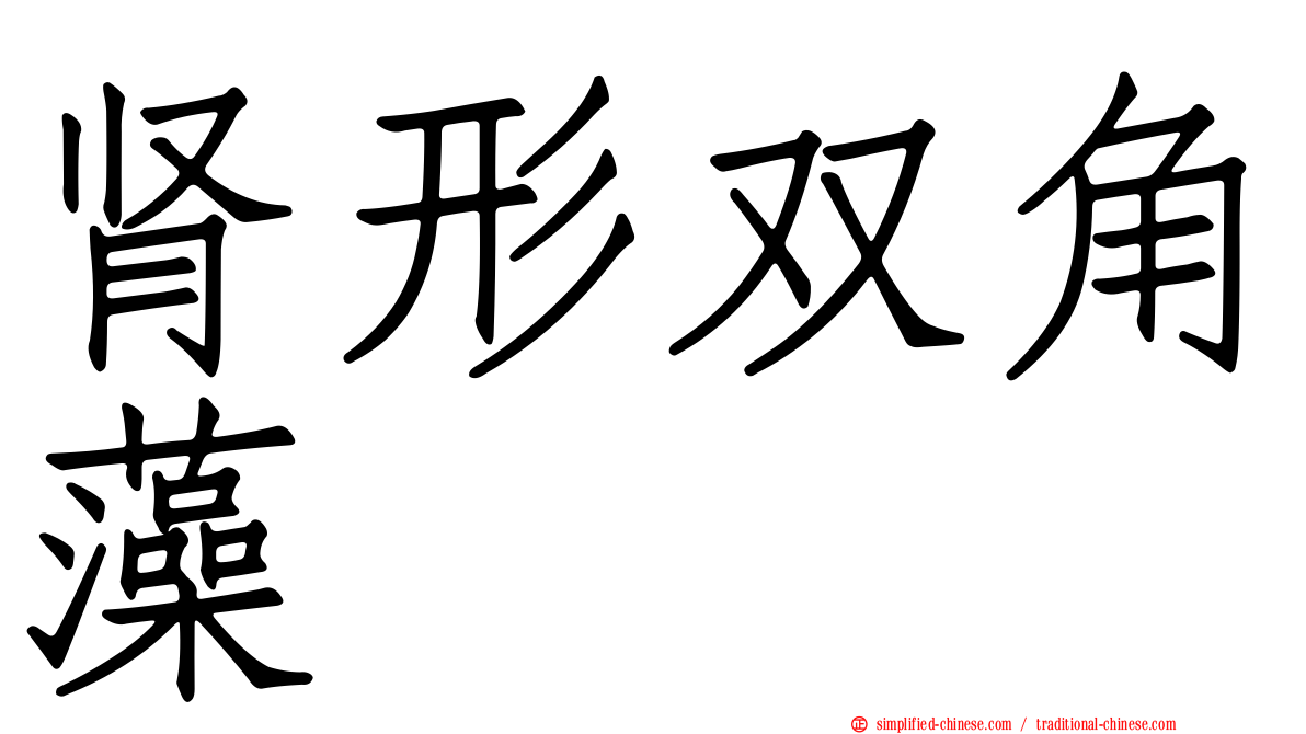 肾形双角藻