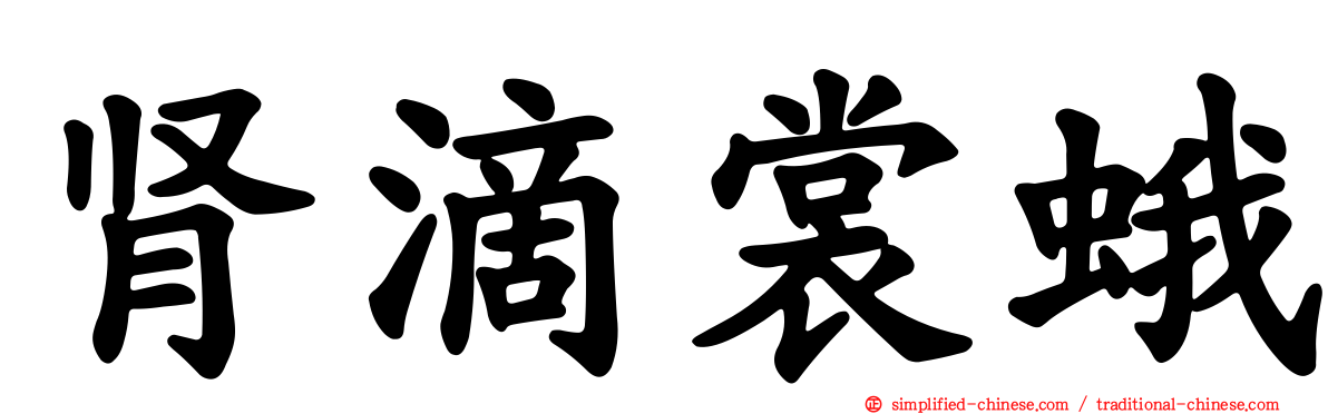 肾滴裳蛾