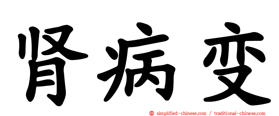 肾病变