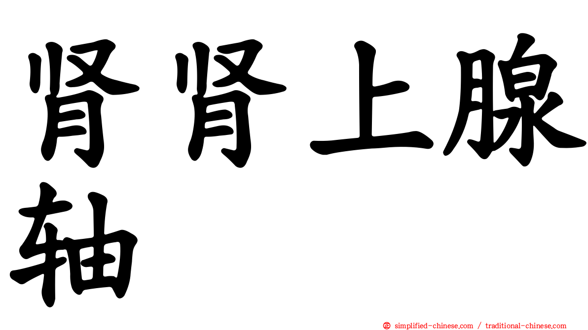 肾肾上腺轴