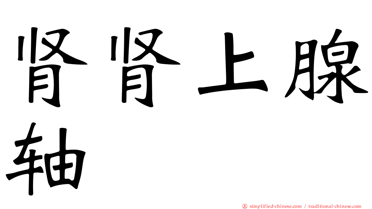 肾肾上腺轴