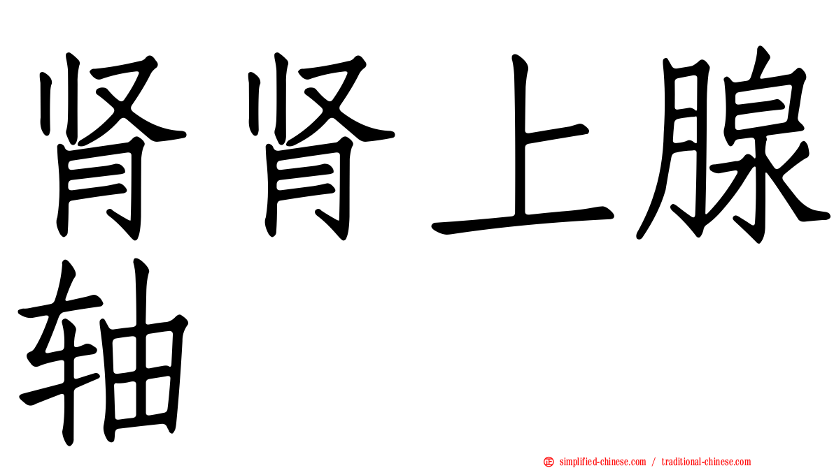 肾肾上腺轴