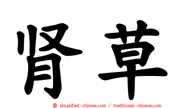 肾草
