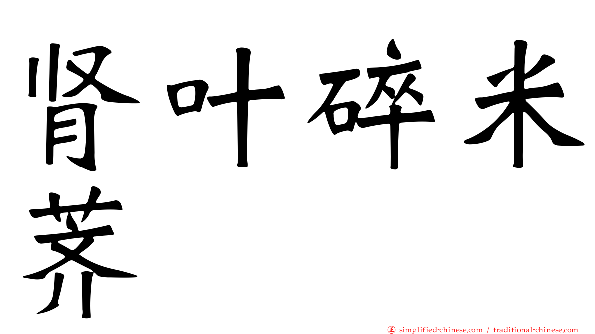 肾叶碎米荠
