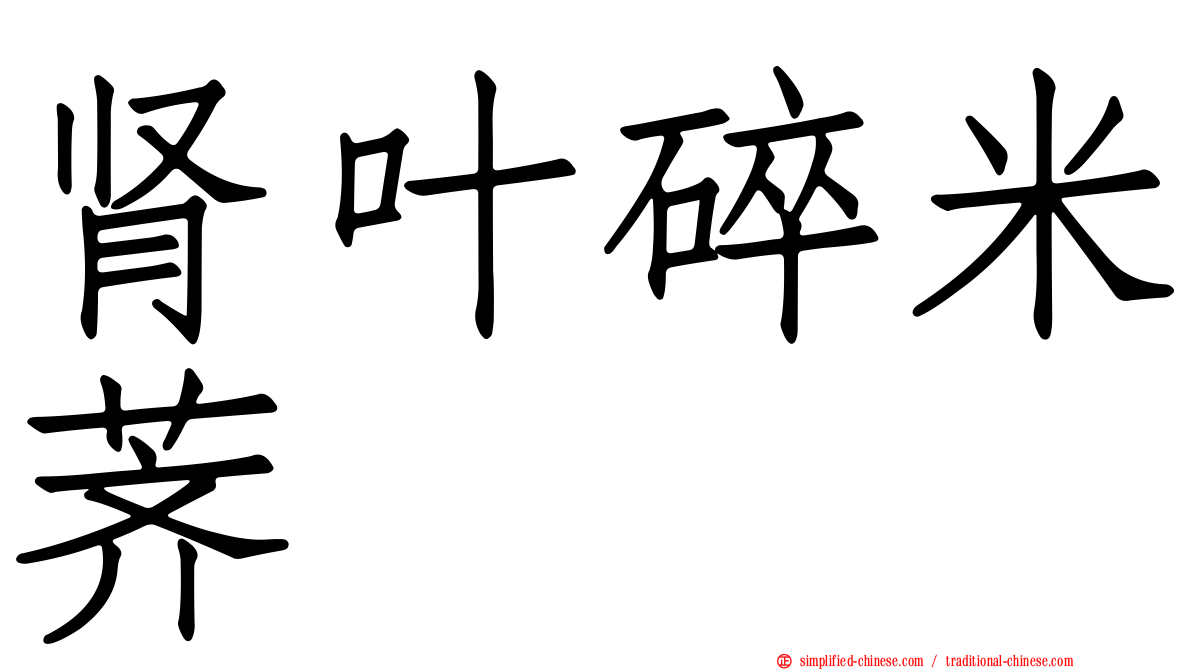 肾叶碎米荠