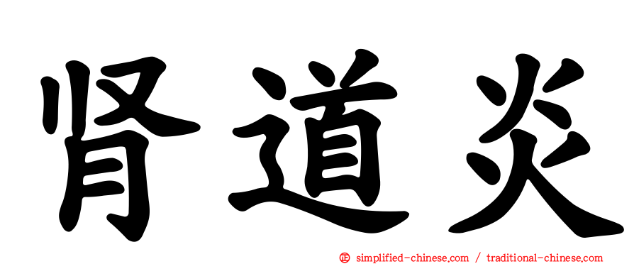 肾道炎