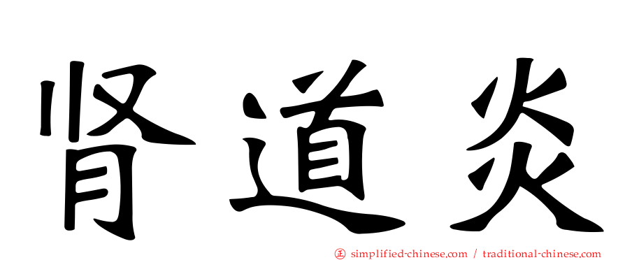 肾道炎
