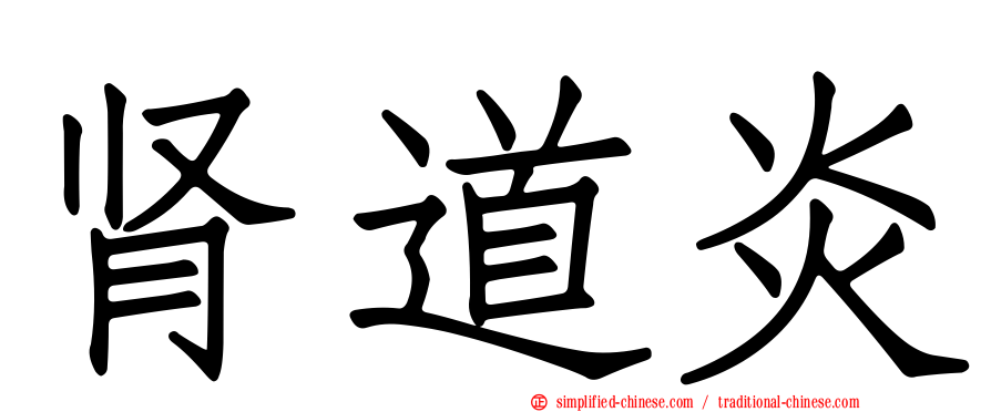 肾道炎