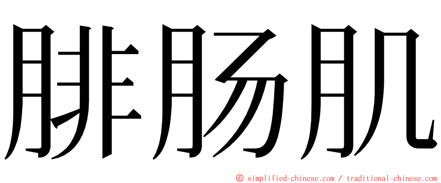 腓肠肌 ming font