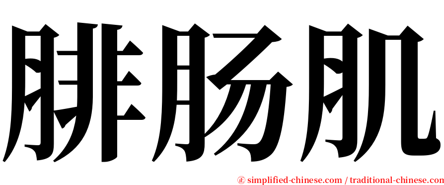 腓肠肌 serif font