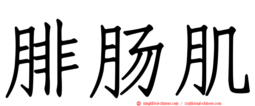 腓肠肌