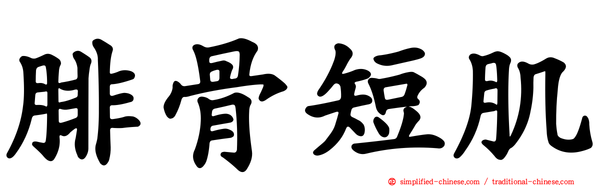 腓骨短肌